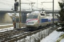 TGV Réseau 503