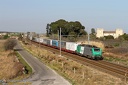 BB 37012 et Autoroute Ferroviaire à Vic la Gardiole