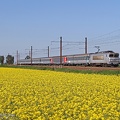 +SNCF_7235_2012-05-13_Tivernon-45_IDR.jpg