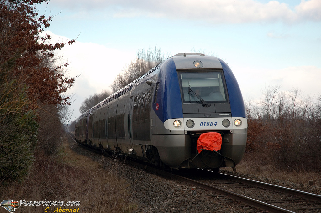 8166414022009.jpg