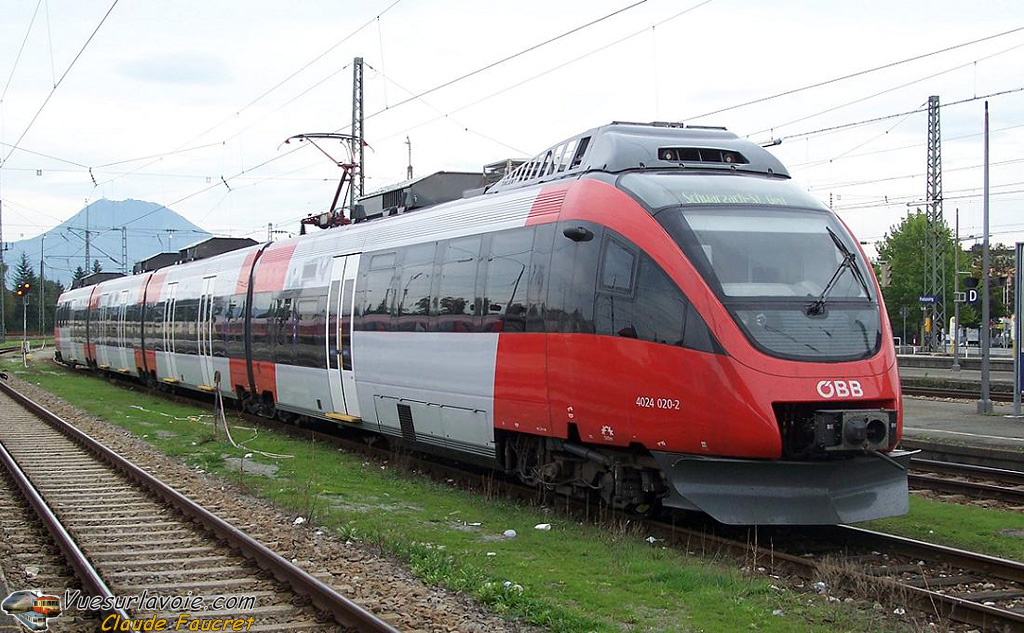 100B8125.jpg