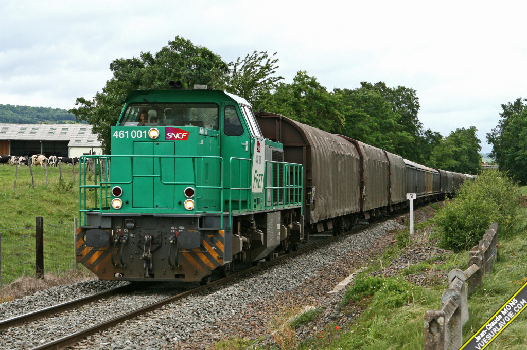 61001_2007-06-26_Rosheim-67_VSLV.jpg