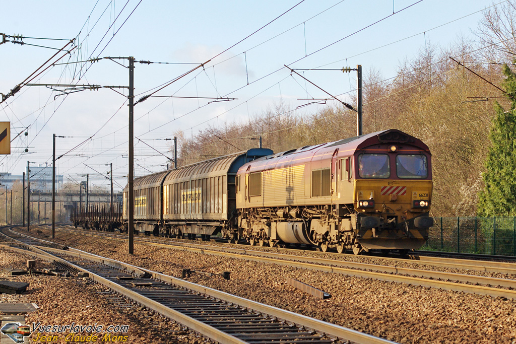 ECR_Class-66231_2008-12-06_Pomponne-77_VSLV.jpg