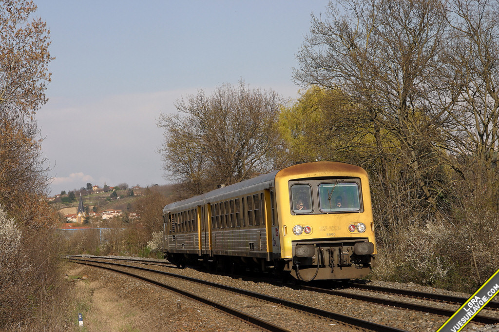 CRW_4175_RJ.jpg