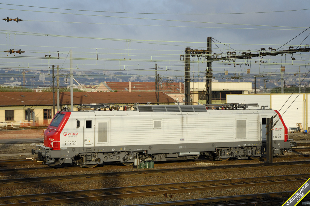 061110_DSC0008.jpg