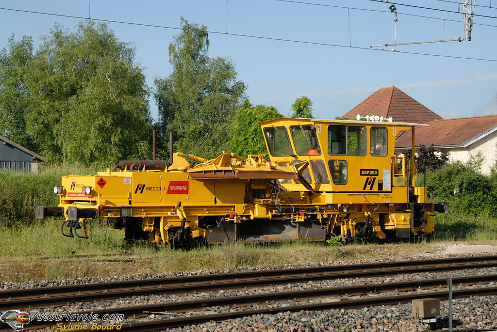 100612_DSC_1945_Meccoli_-_Regaleuse_-_Vonnas.jpg