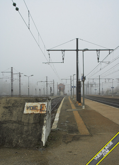 D50_DSC0112.jpg