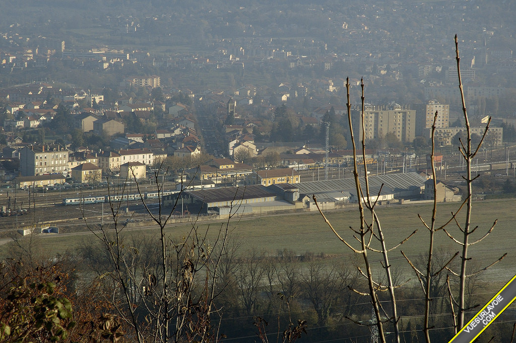 D50_DSC0232.jpg