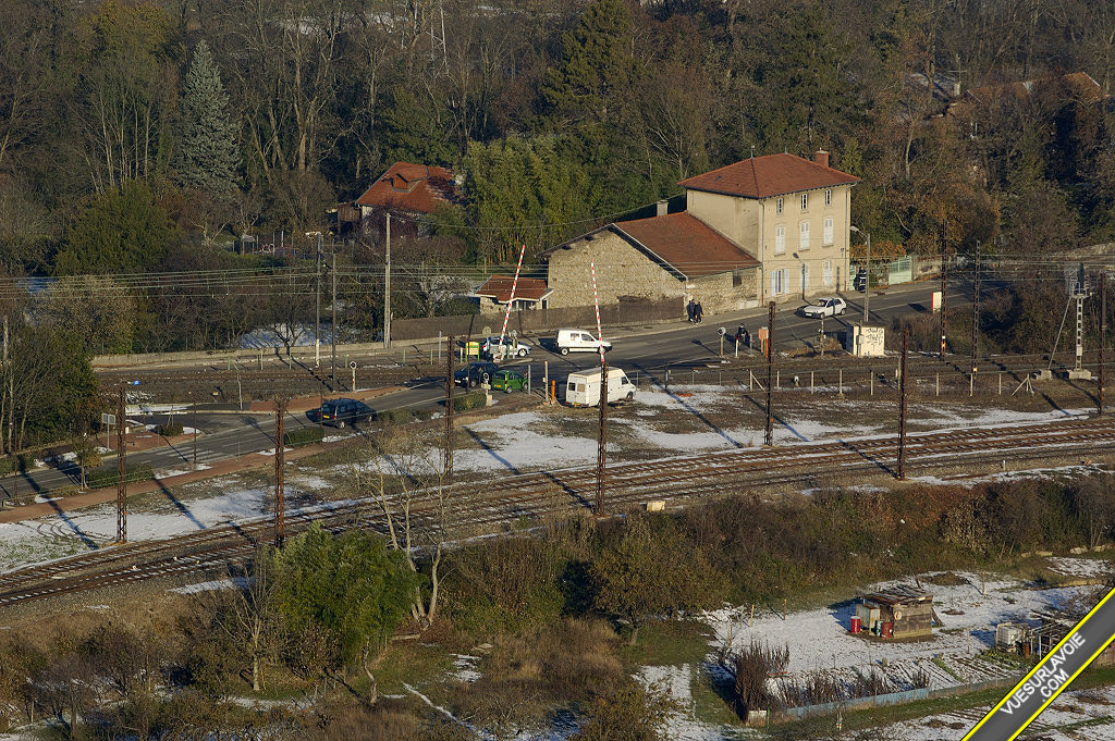 D50_DSC0239.jpg
