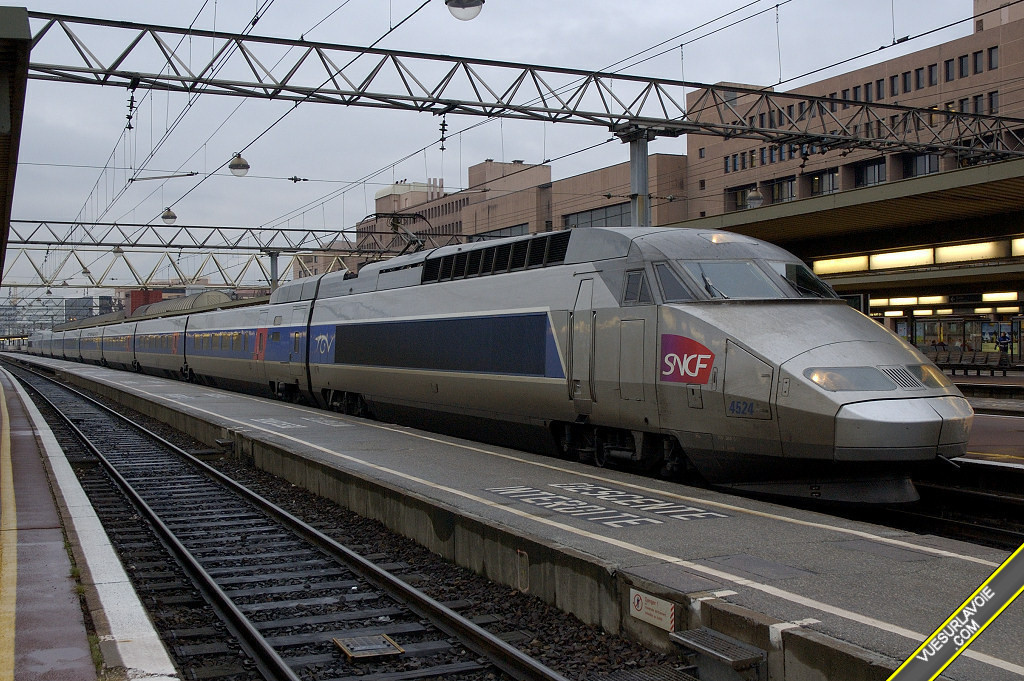 D50_DSC0394.jpg