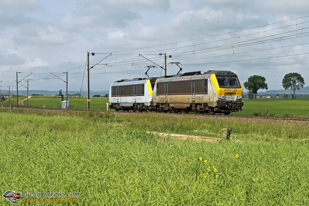 +CFL_3018-3007_Rambucourt-55_IDR.jpg