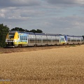 SNCF_B82501-502-X76699-700-UM_2008-07-20_Presles-77_VSLV.jpg
