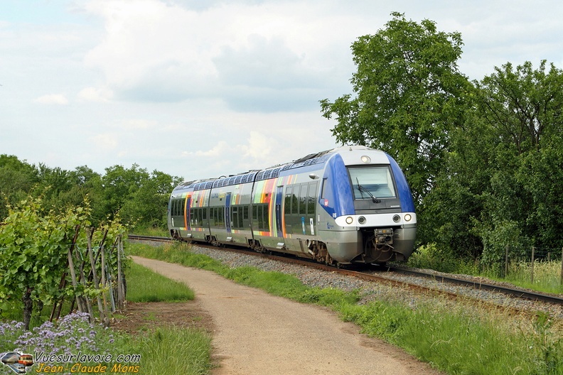 SNCF_X76615-616_2010-06-19_Gertwiller-67_VSLV.jpg