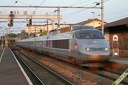 TGV Sud Est n°80