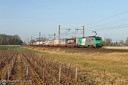 BB 37038 et Autoroute Ferroviaire à Vougeot