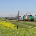 +SNCF_27149_2012-05-27_Rambucourt-55_IDR.jpg