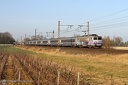 BB 7409 et TER Paris-Dijon-Lyon à Vougeot