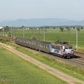 +SNCF_25607_2013-06-11_Sand-67_IDR.jpg