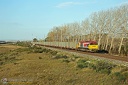 G-2000 RDT13 et Train des Gadoues
