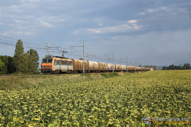 +SNCF_26119_2014-08-18_Saint-Martin-Lalande-11_IDR.jpg