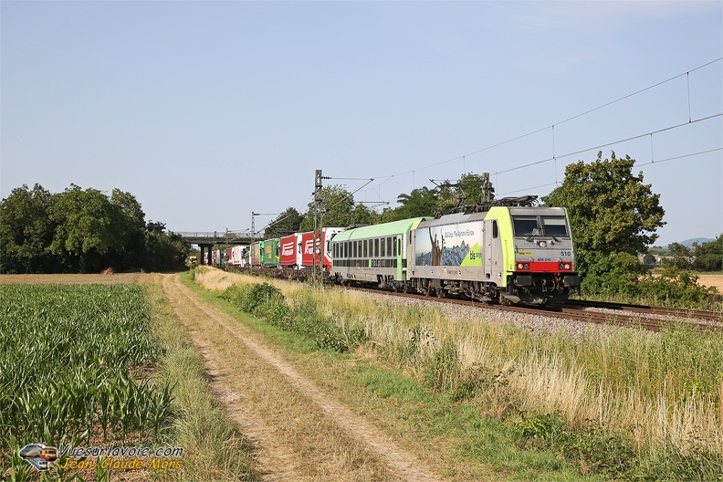 +BLS_486-510_2025-06-25_Buggingen-Allemagne_VSLV.jpg